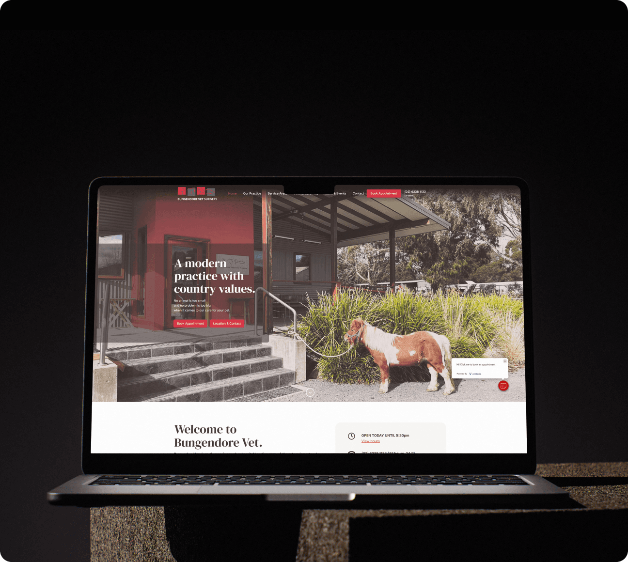 Website Design and Development